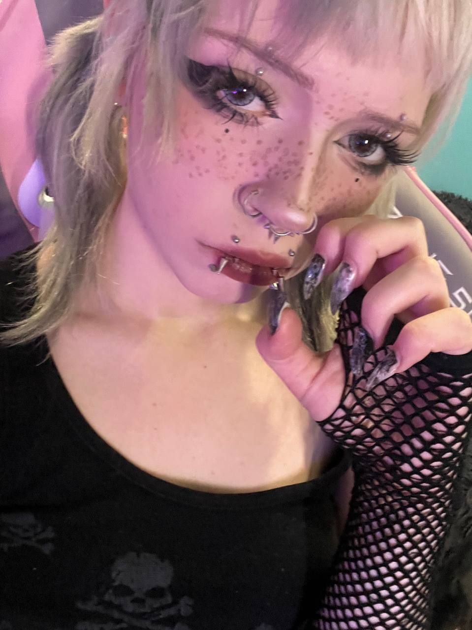 meow ₍^. .^₎⟆