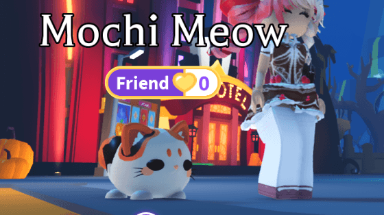 Such a cute little Mochi!