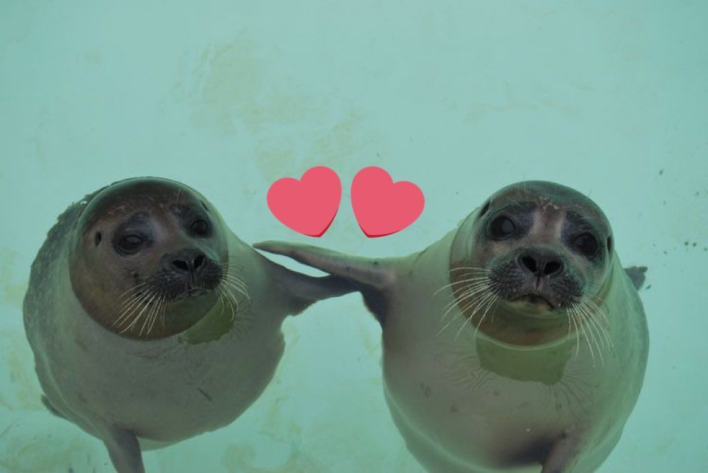 me n u?