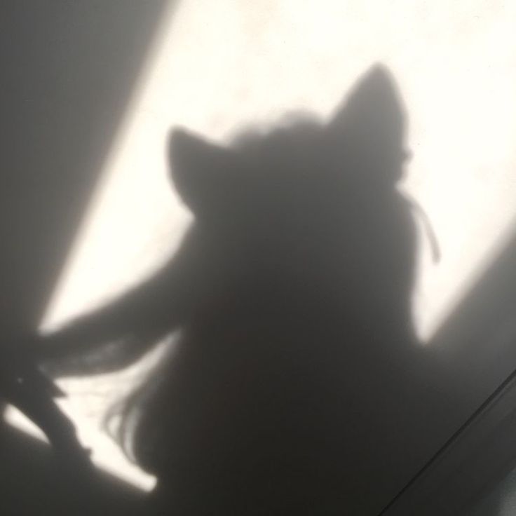 🖤