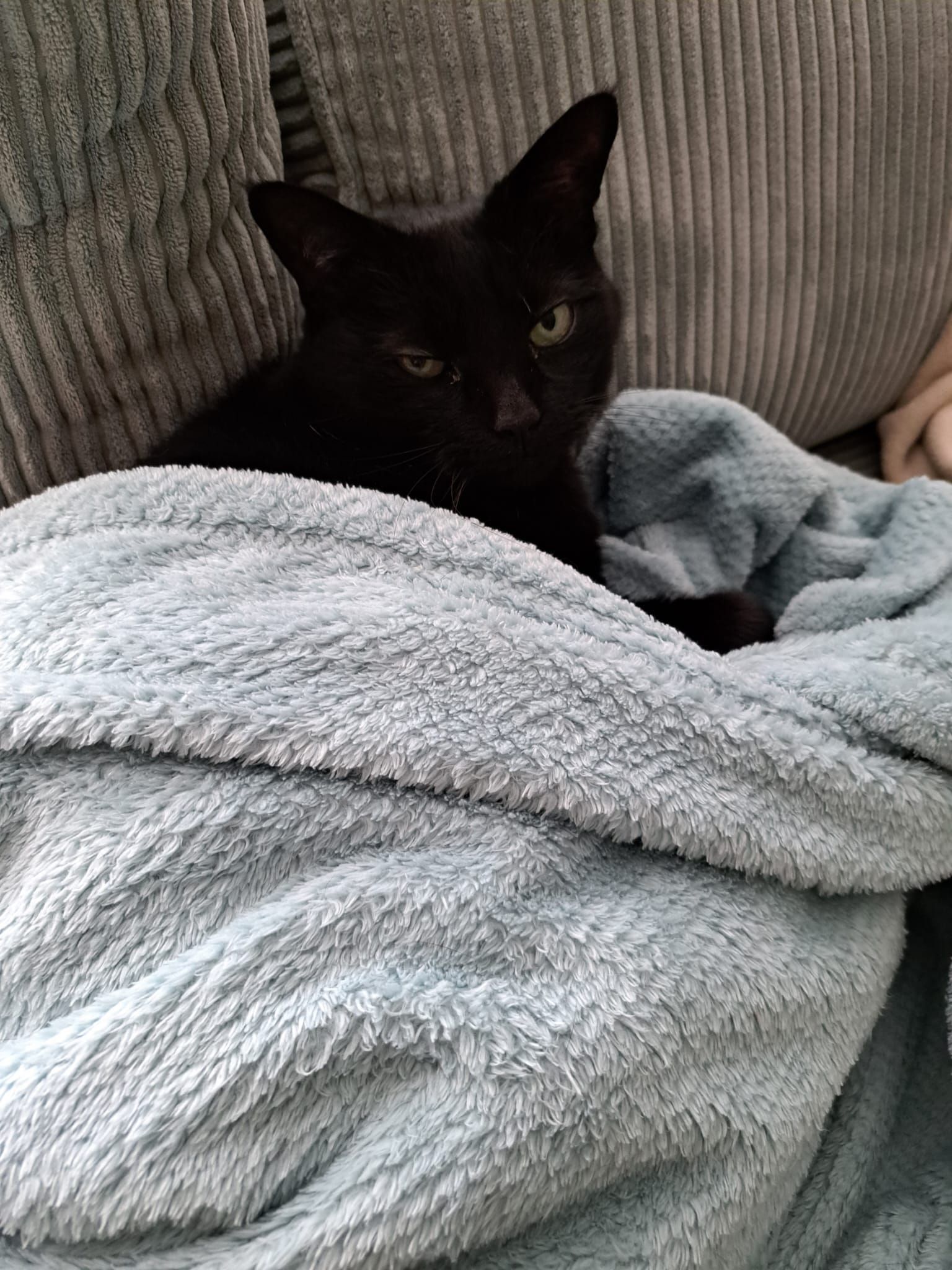 he so baby
