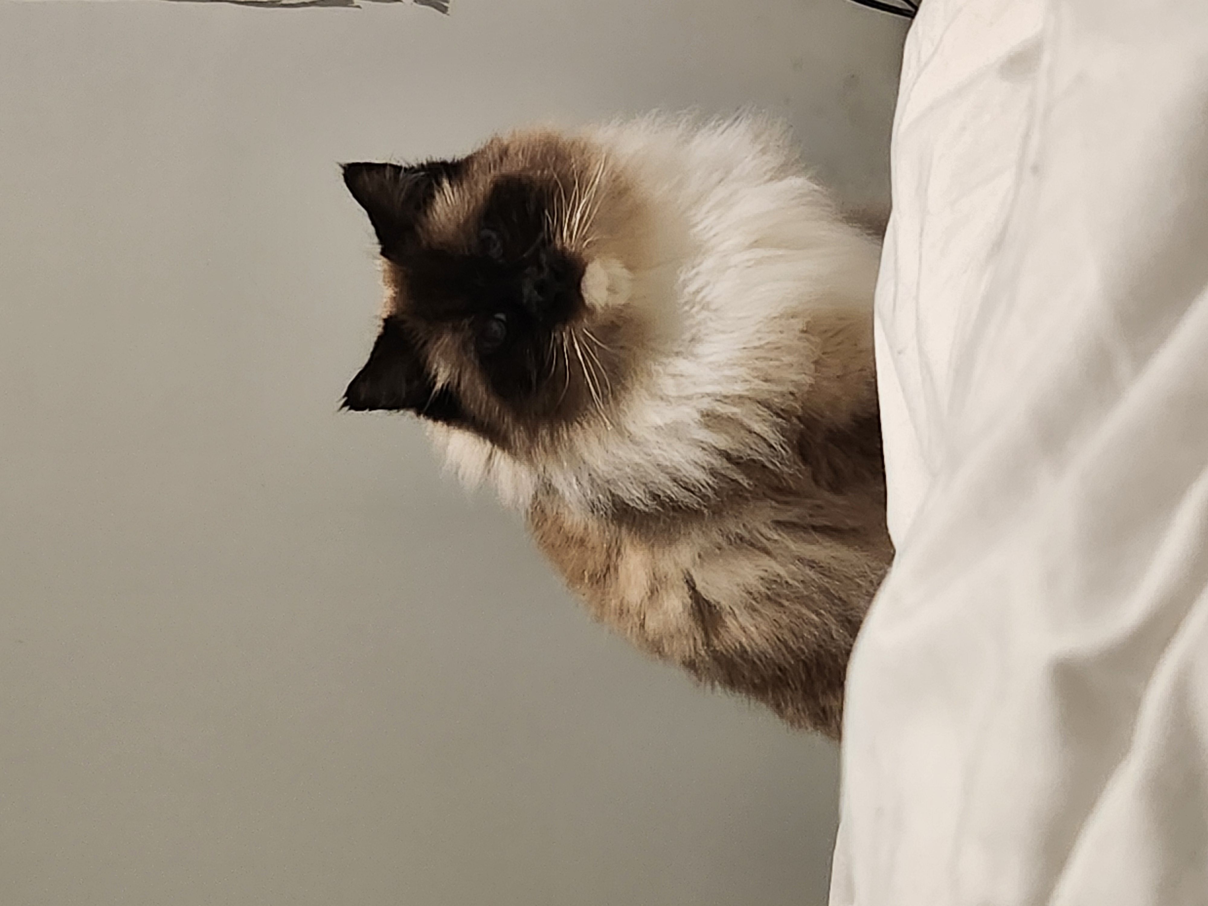 ~~