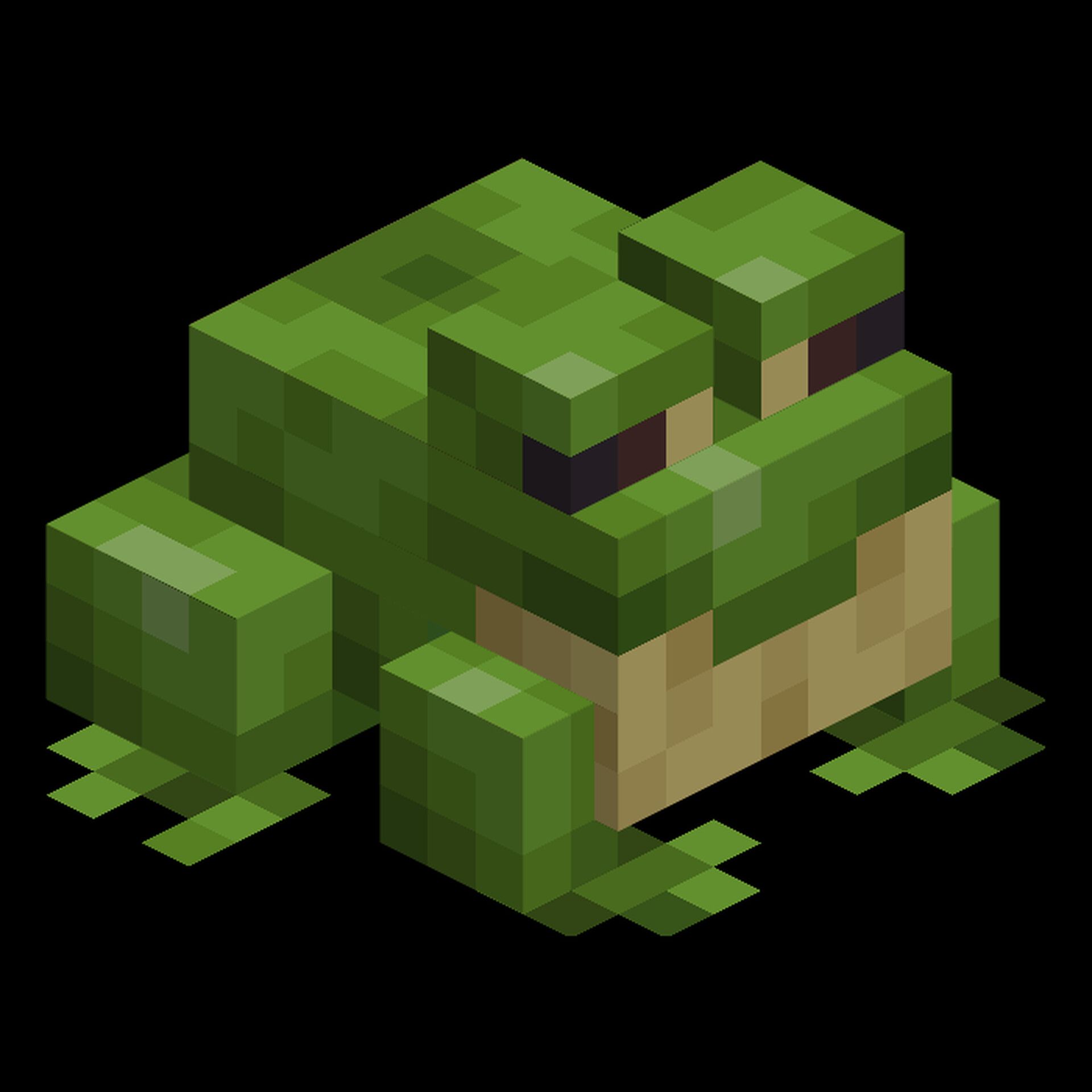 It is wednesday, my dudes 🐸