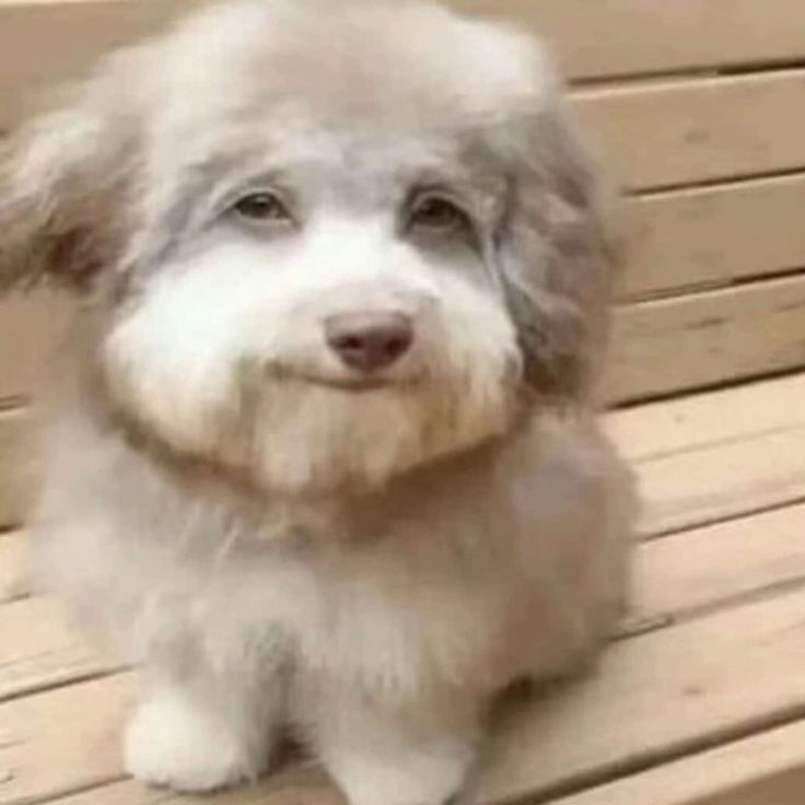 hello