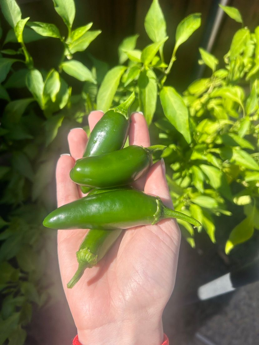 got peppers? 😃