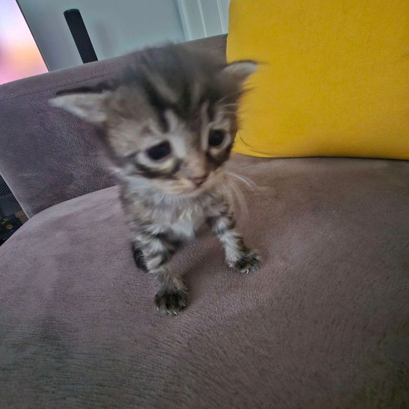 Hey!