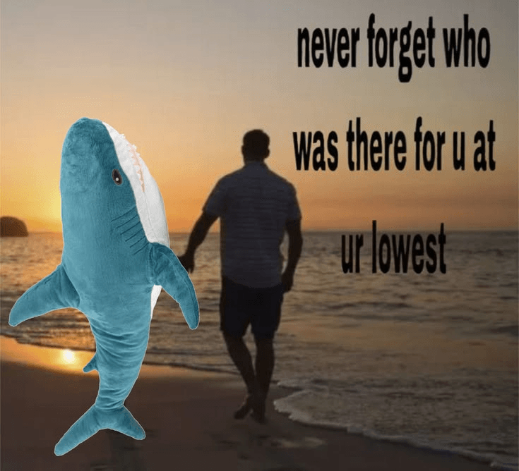 ⋆｡°✩