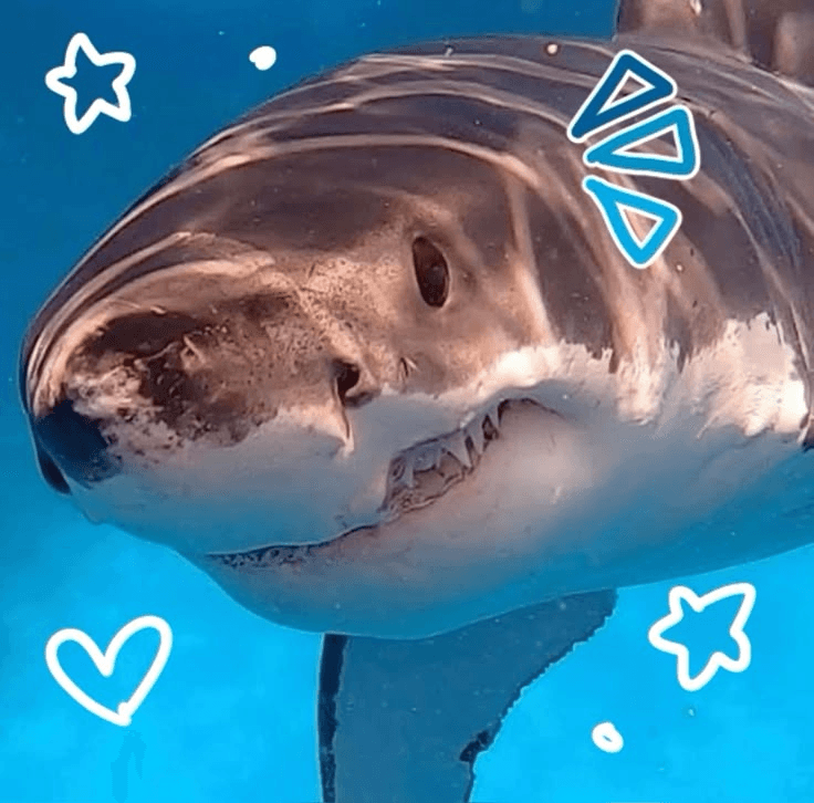 ⋅˚₊‧ଳ ‧₊˚ ⋅