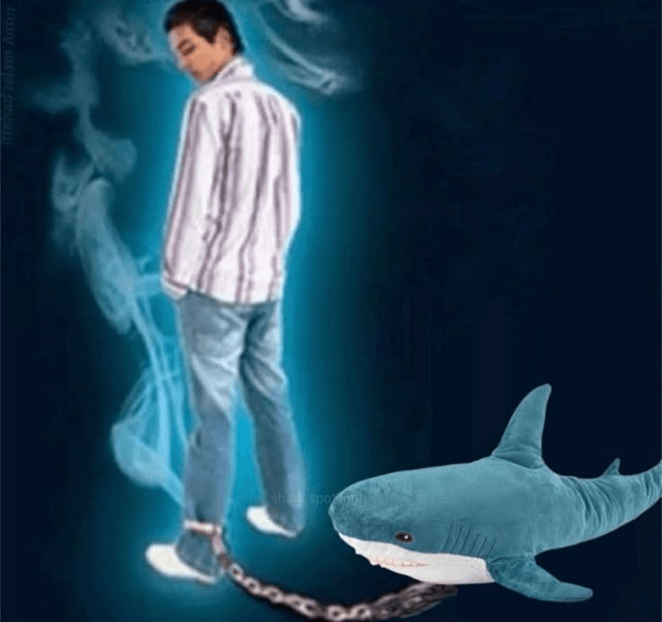 ≽(◉˕ ◉ ≼マ