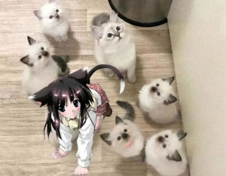 me btw