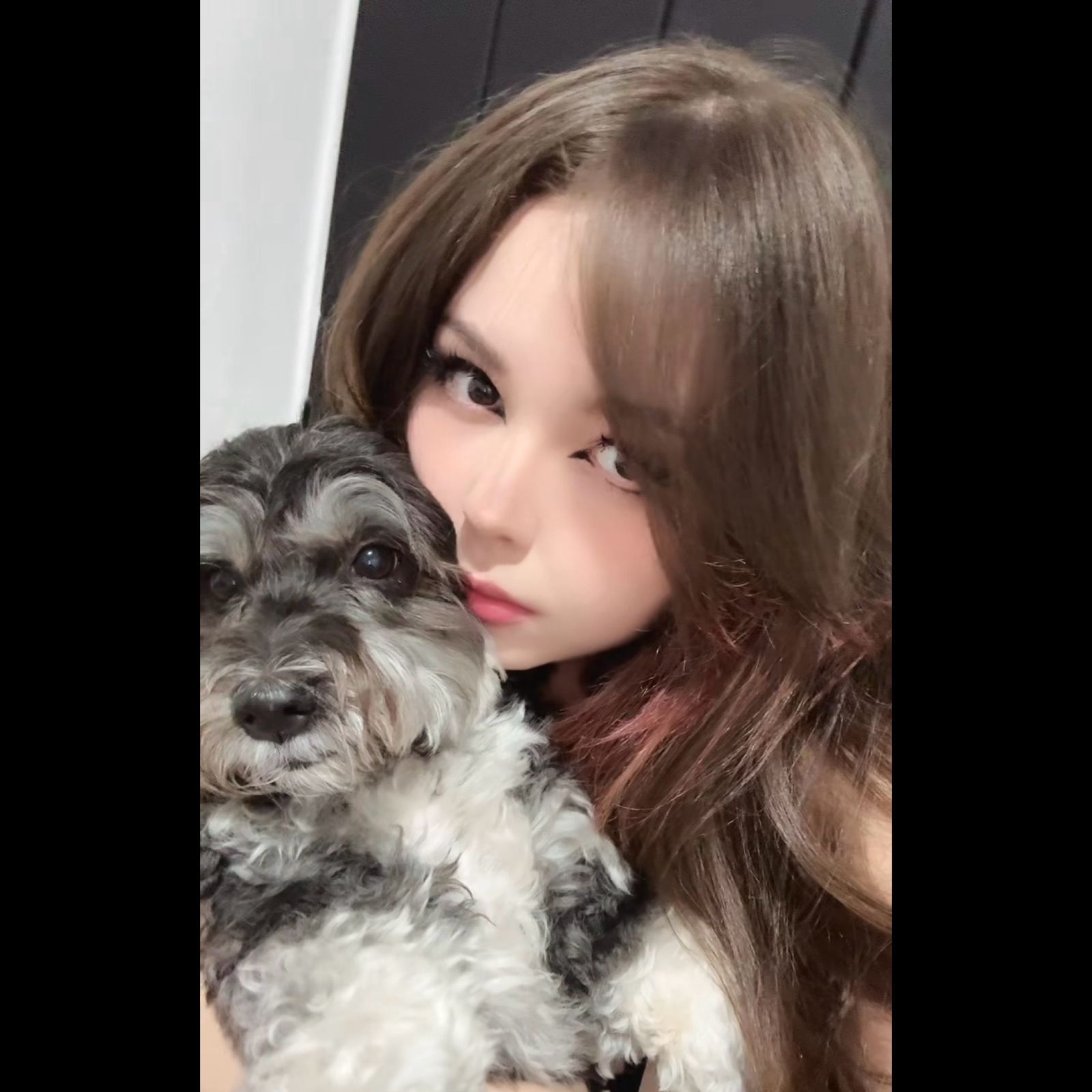 Yuumi say hii