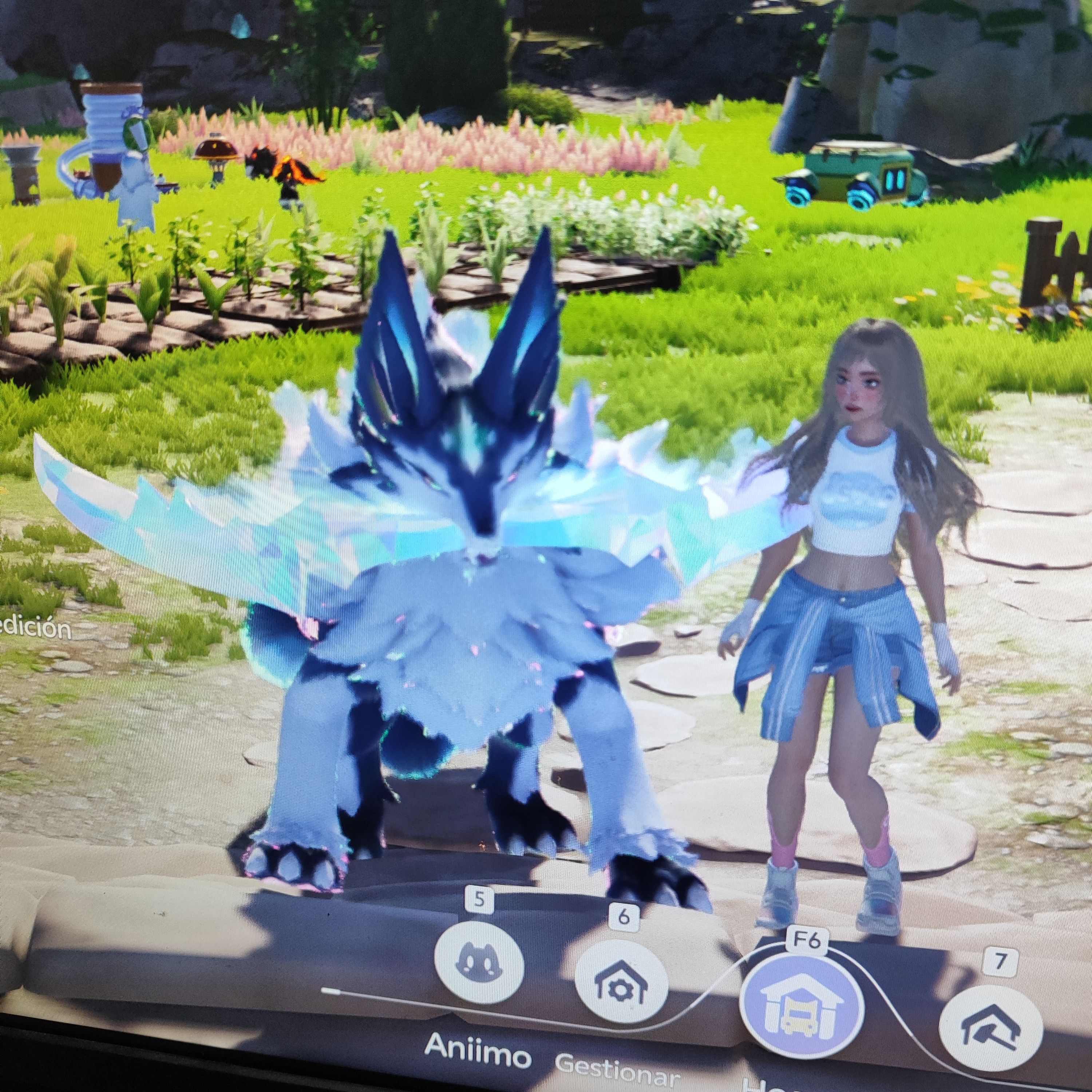 Aniimo duo?