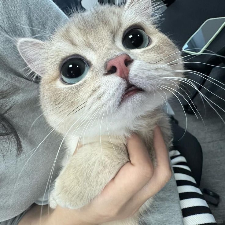 ♥