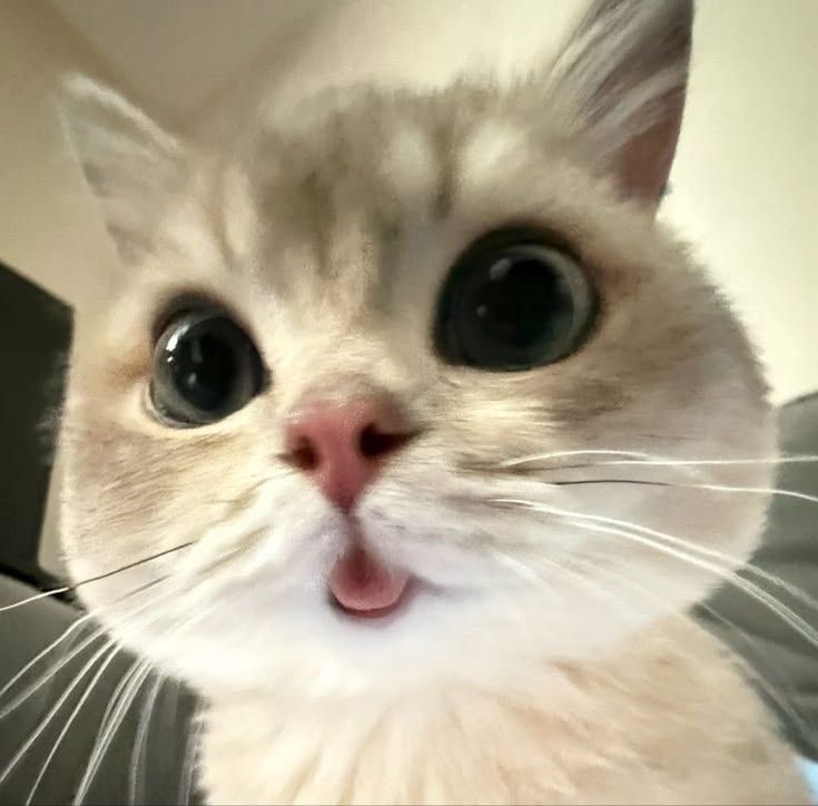 ♥