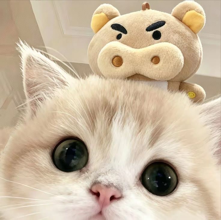 ♥