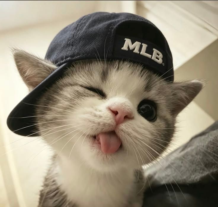 ♥