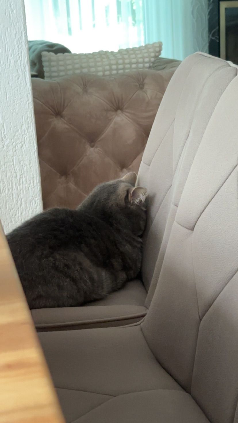 how can you sleep like this 😭
